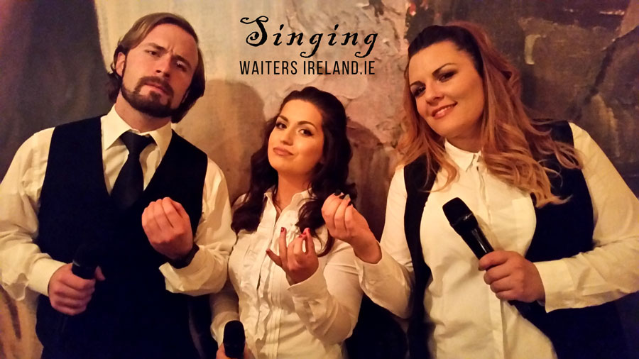 Singing Waiters for Hire Dublin