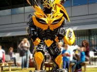 Bumble Bee_Robot Networks