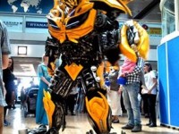 BUMBLE BEE_Transformer Robot_Bumblebee