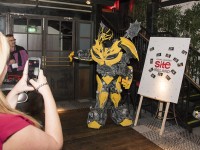 bumblebee greeting host at site event november dublin