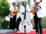 The-Havana-Club-Trio-wedding-music-ireland-2