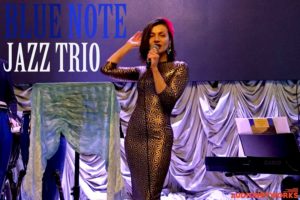 blue note jazz trio band wedding events